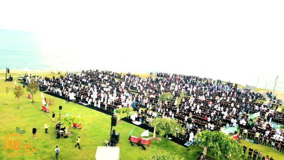 WhatsApp Image 2023-06-28 at 11.33.50 AM.jpeg